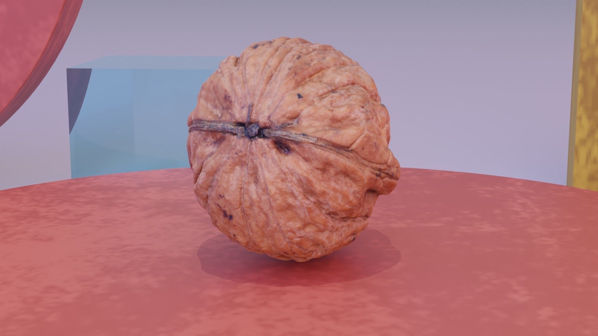Walnut fruit 06 high-poly 3D model_3