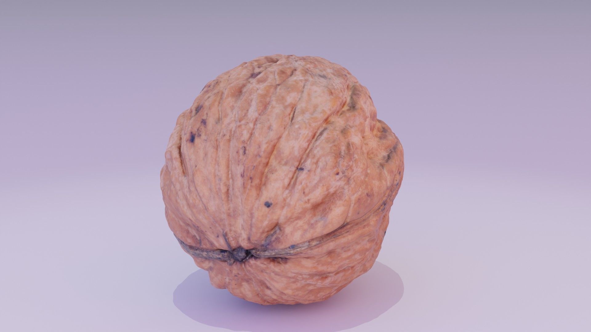 Walnut fruit 06 high-poly 3D model_13