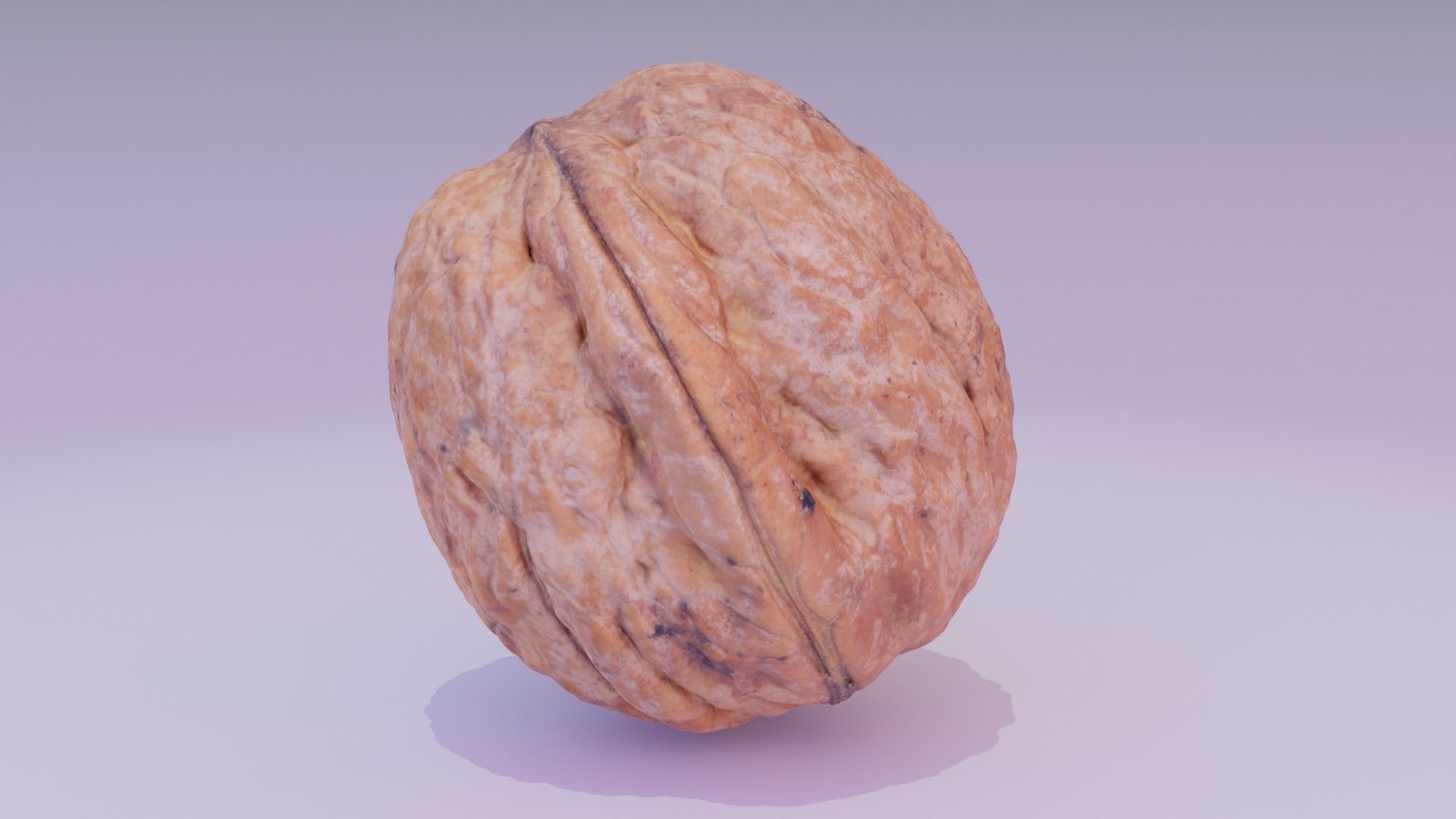 Walnut fruit 06 high-poly 3D model_17