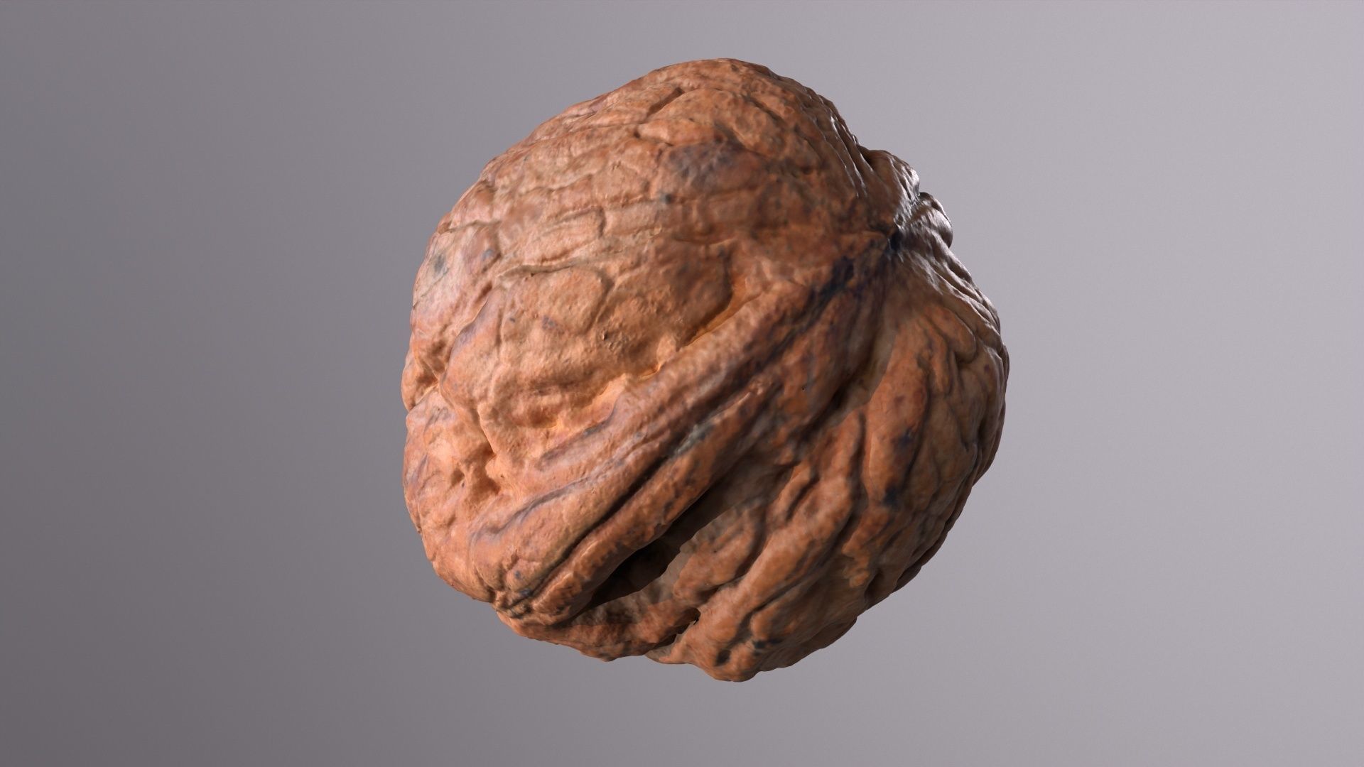 Walnut fruit 06 high-poly 3D model_20