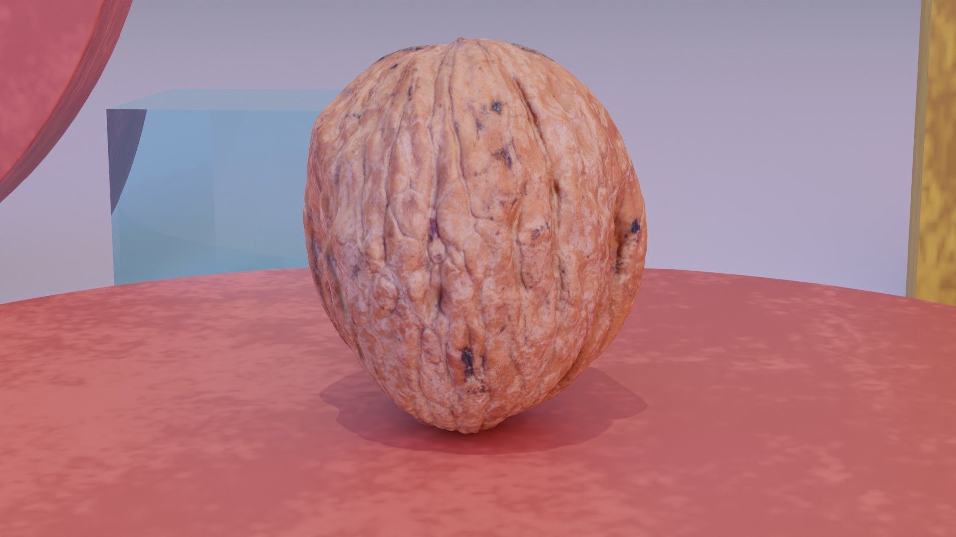 Walnut fruit 06 high-poly 3D model_9
