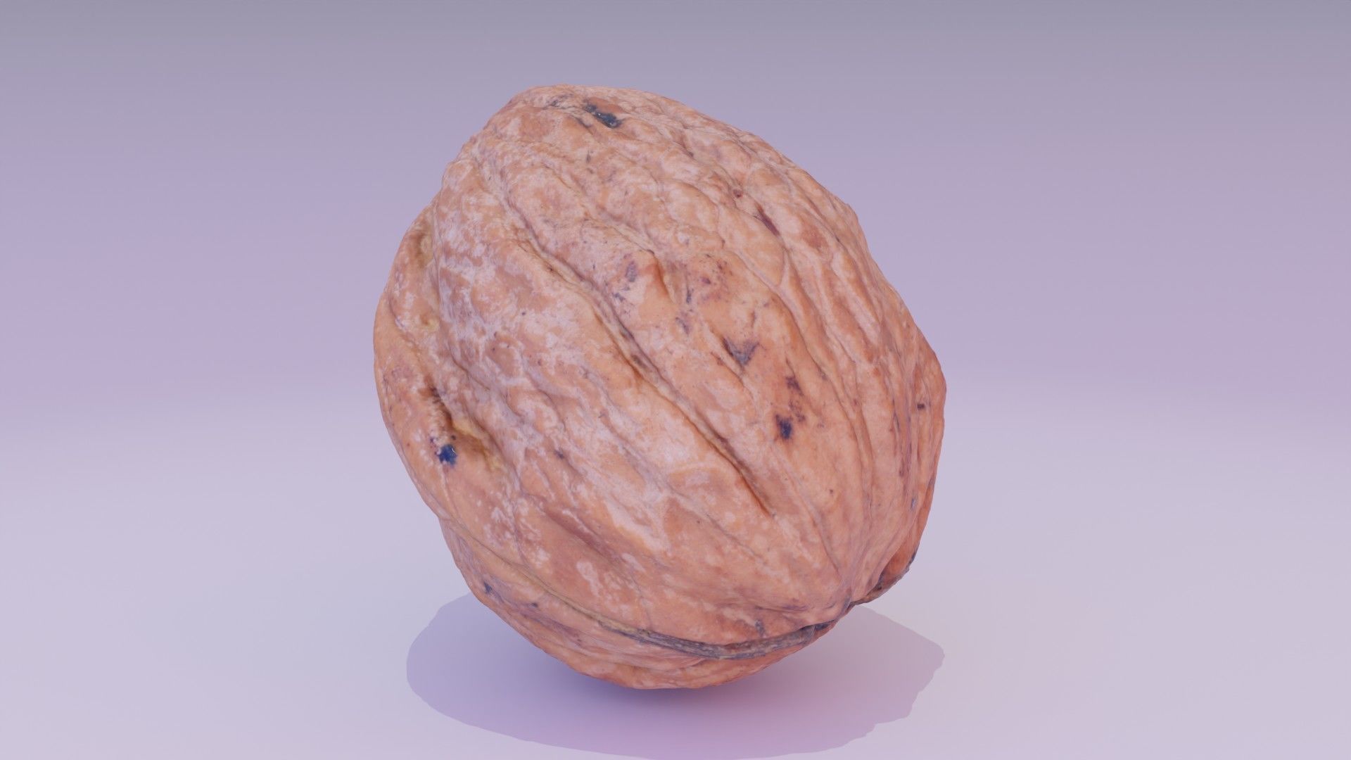 Walnut fruit 06 high-poly 3D model_15