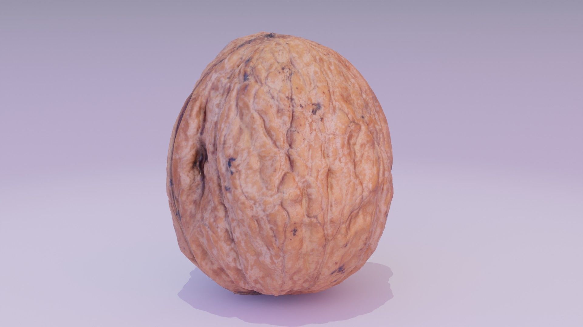 Walnut fruit 06 high-poly 3D model_19