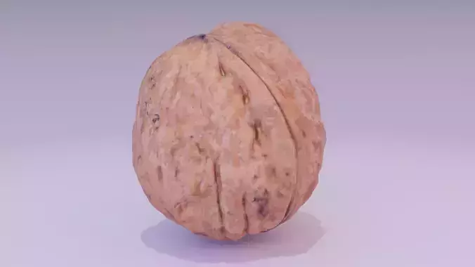 Walnut fruit 06 high-poly