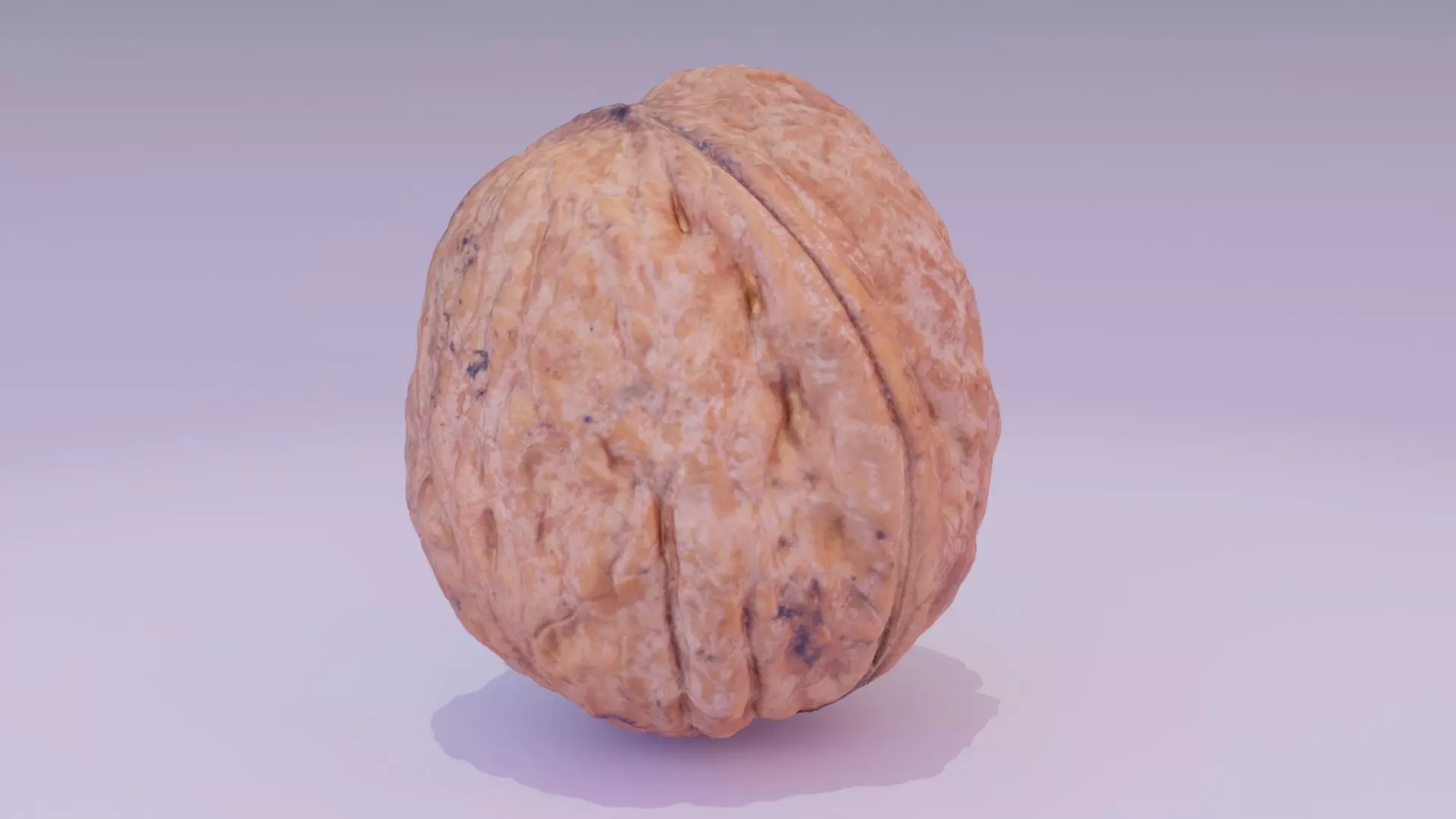 Walnut fruit 06 high-poly 3D model_0