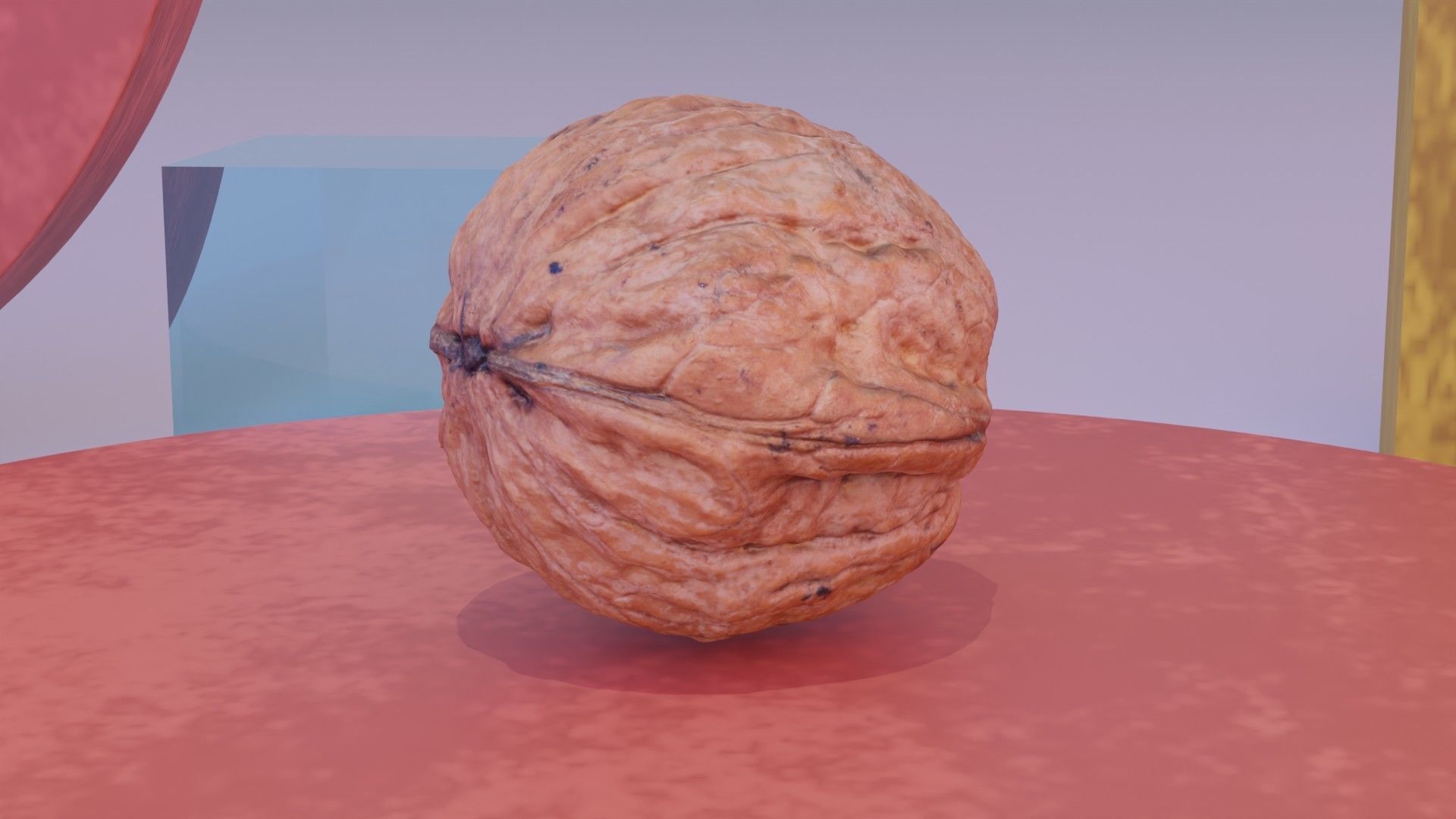 Walnut fruit 06 high-poly 3D model_2