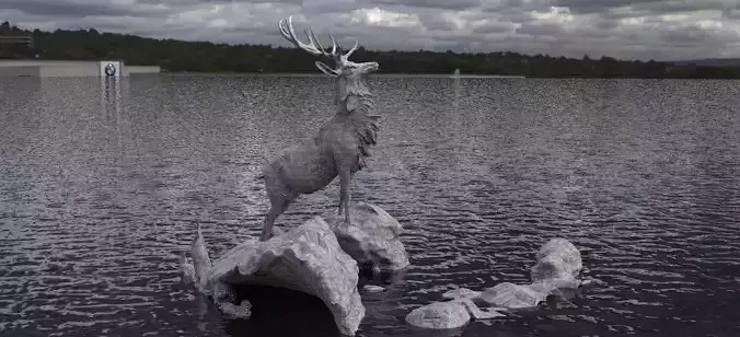 Deer King on Rocks
