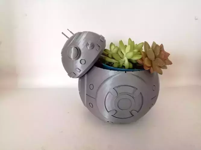 BB8 Pot