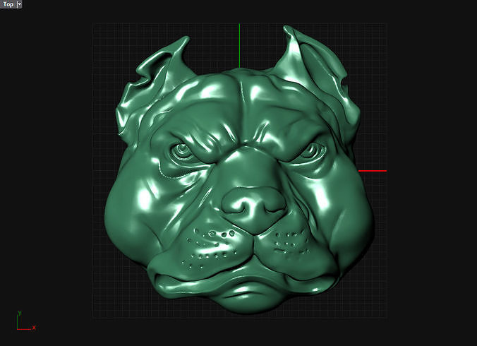 Pitbull head 3D print model
