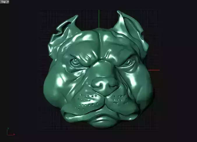 Pitbull head 3D print model