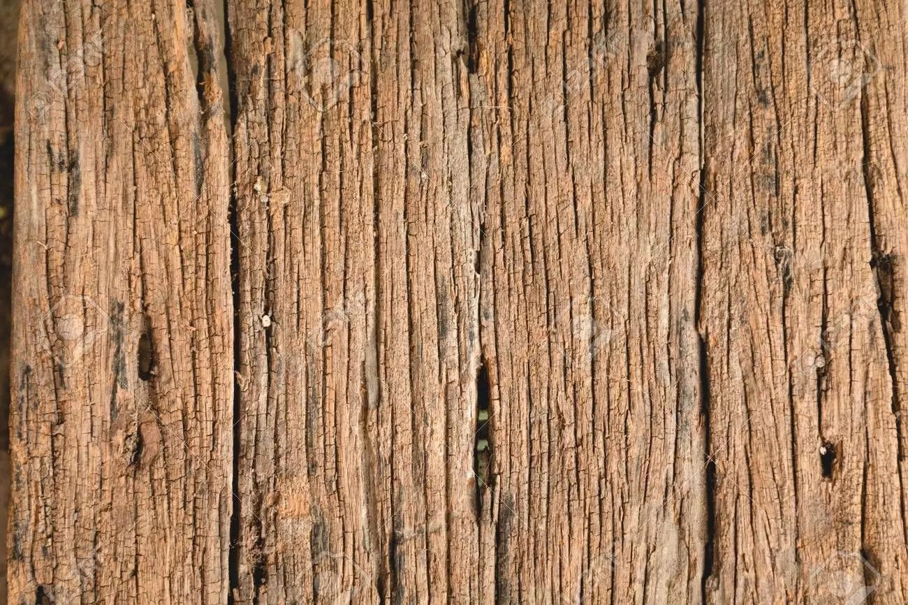 chair close up of old wooden fence 3D model_0