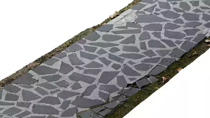 Cobblestone Rock Road Scan