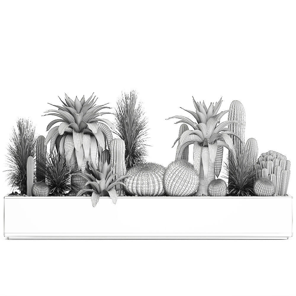 Cactus set in a concrete flowerpot for the interior 1100 3D model_8