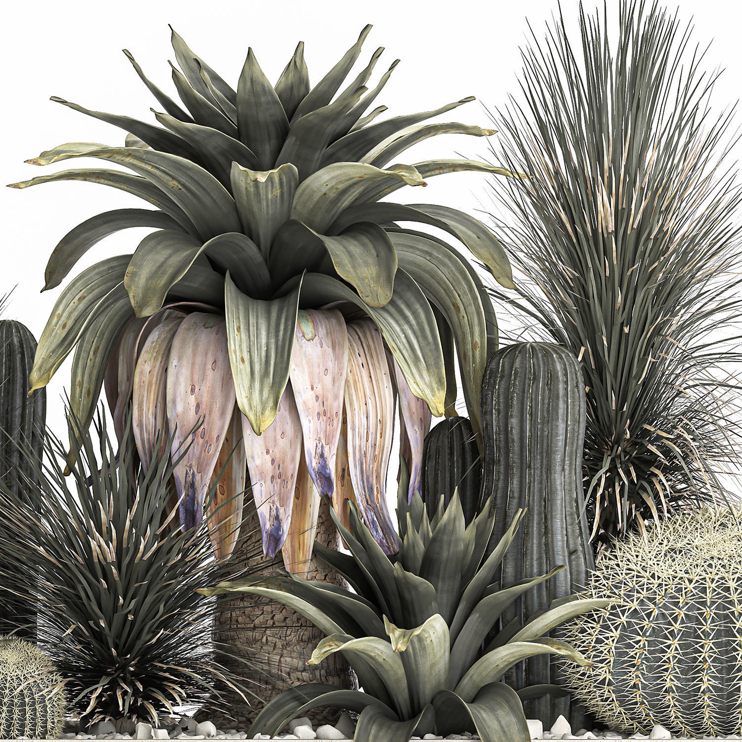 Cactus set in a concrete flowerpot for the interior 1100 3D model_3