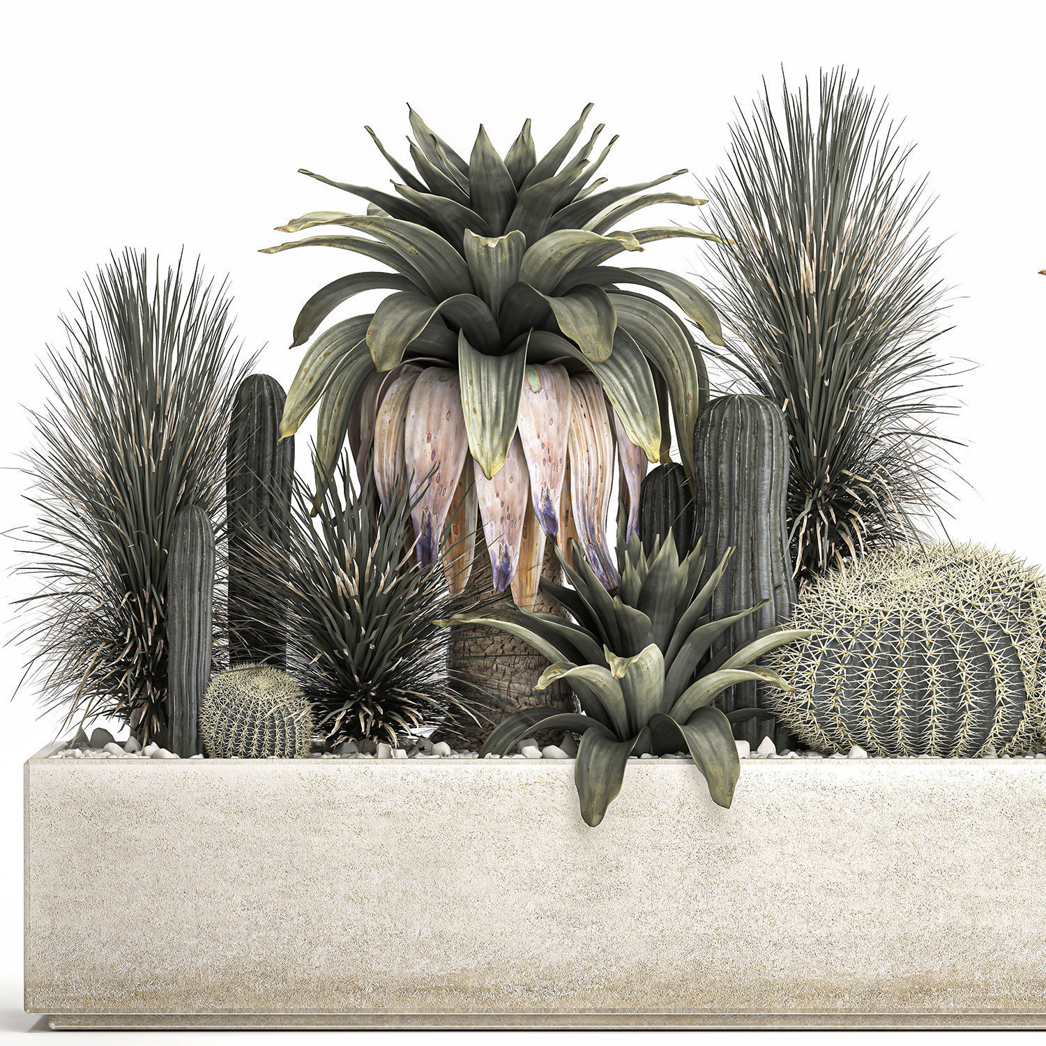 Cactus set in a concrete flowerpot for the interior 1100 3D model_2