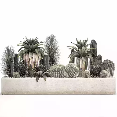 Cactus set in a concrete flowerpot for the interior 1100 3D model