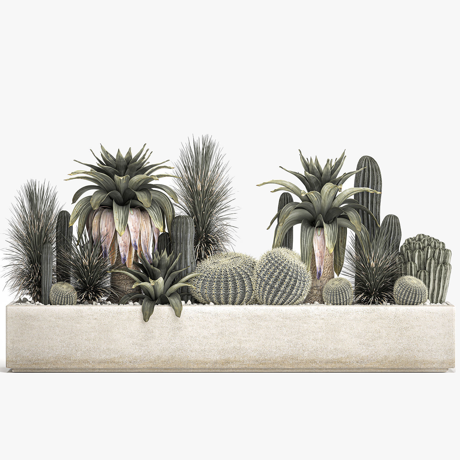 Cactus set in a concrete flowerpot for the interior 1100 3D model_7