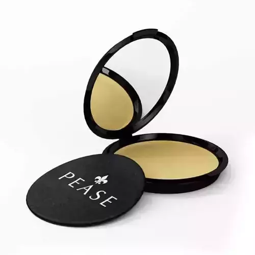 Compact Mirror With Blush 3D model
