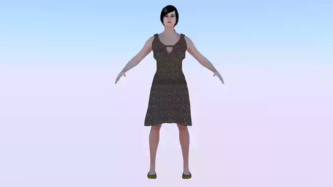 Woman in a Dress 019