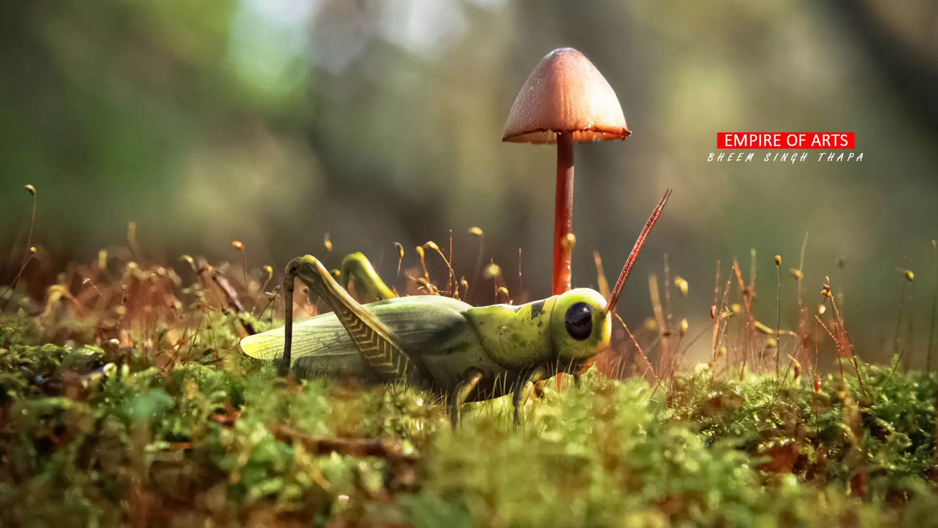 Grasshopper For Augmented reality World in a Real world Low-poly 3D model