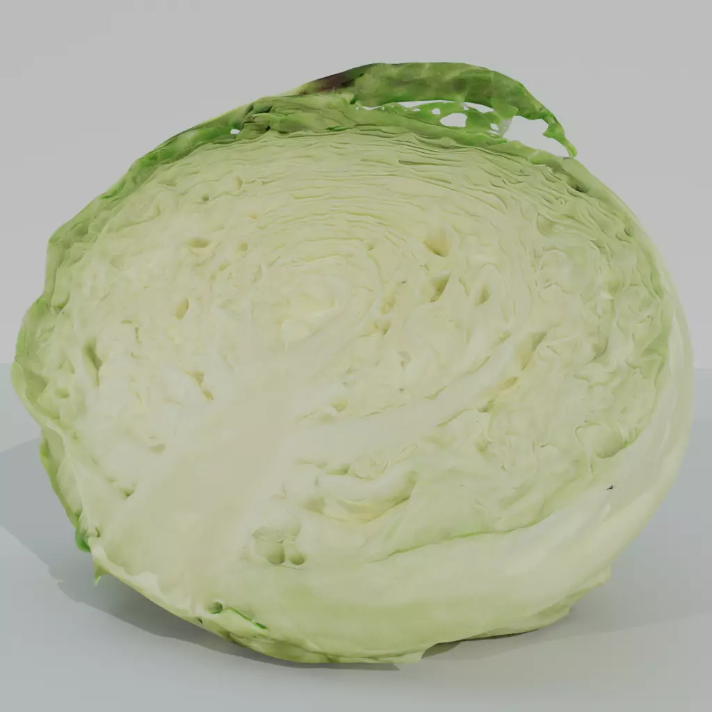 CABBAGE piece of Low-poly 3D model