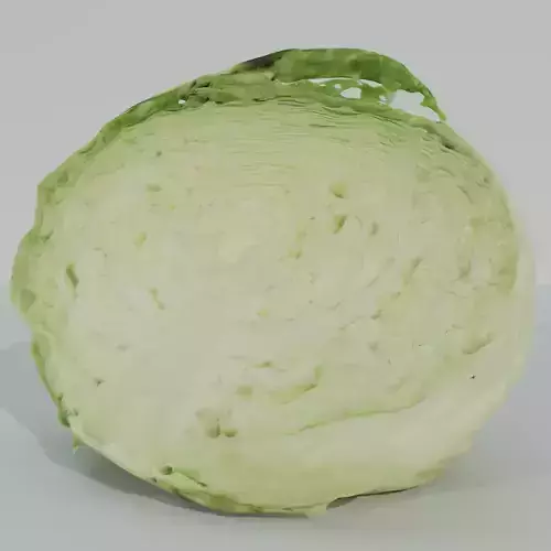 CABBAGE piece of