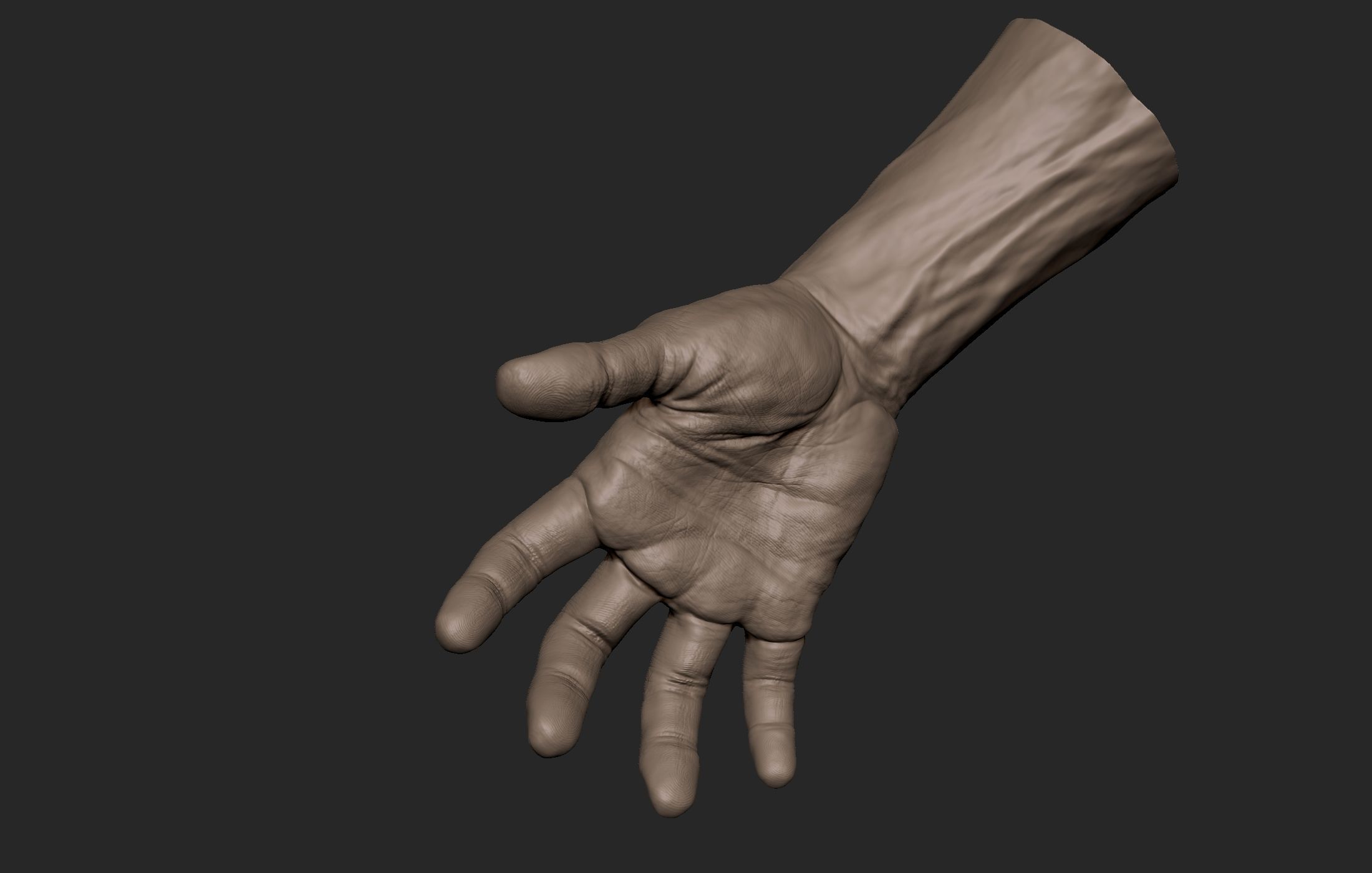 Realistic Male Hand Sculpt 2 3D model_3