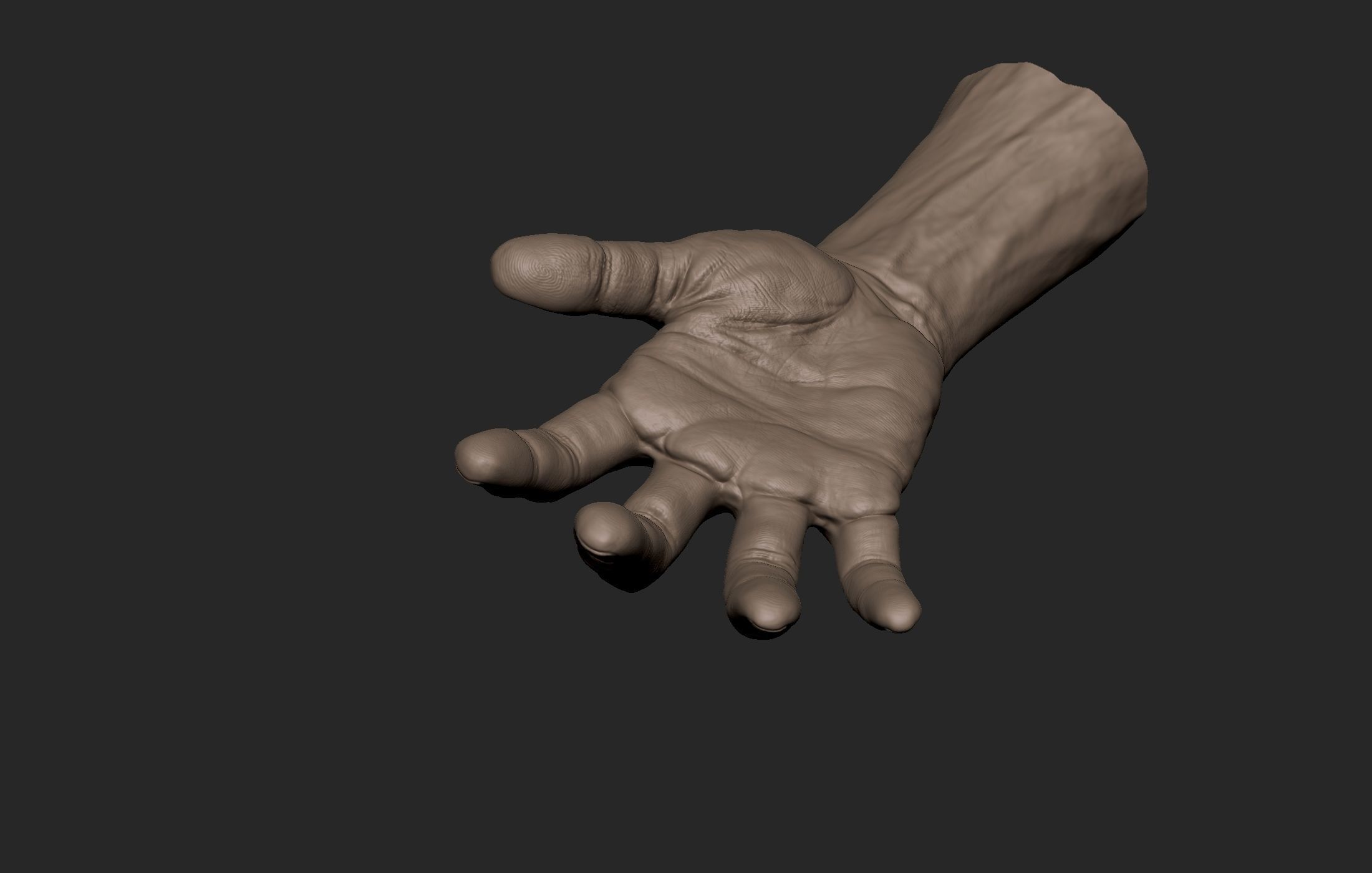 Realistic Male Hand Sculpt 2 3D model_7