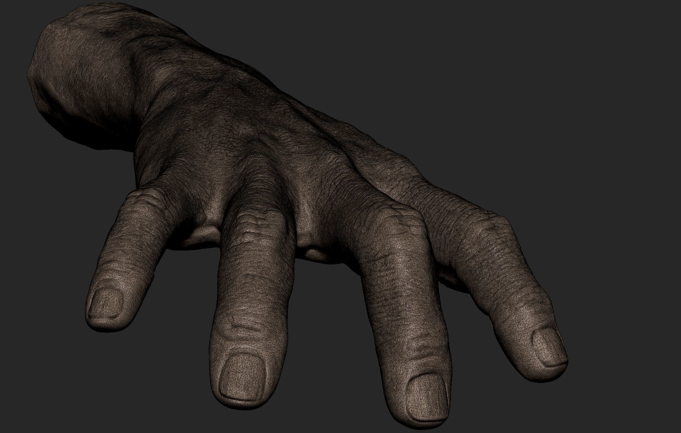 Realistic Male Hand Sculpt 2 3D model_10