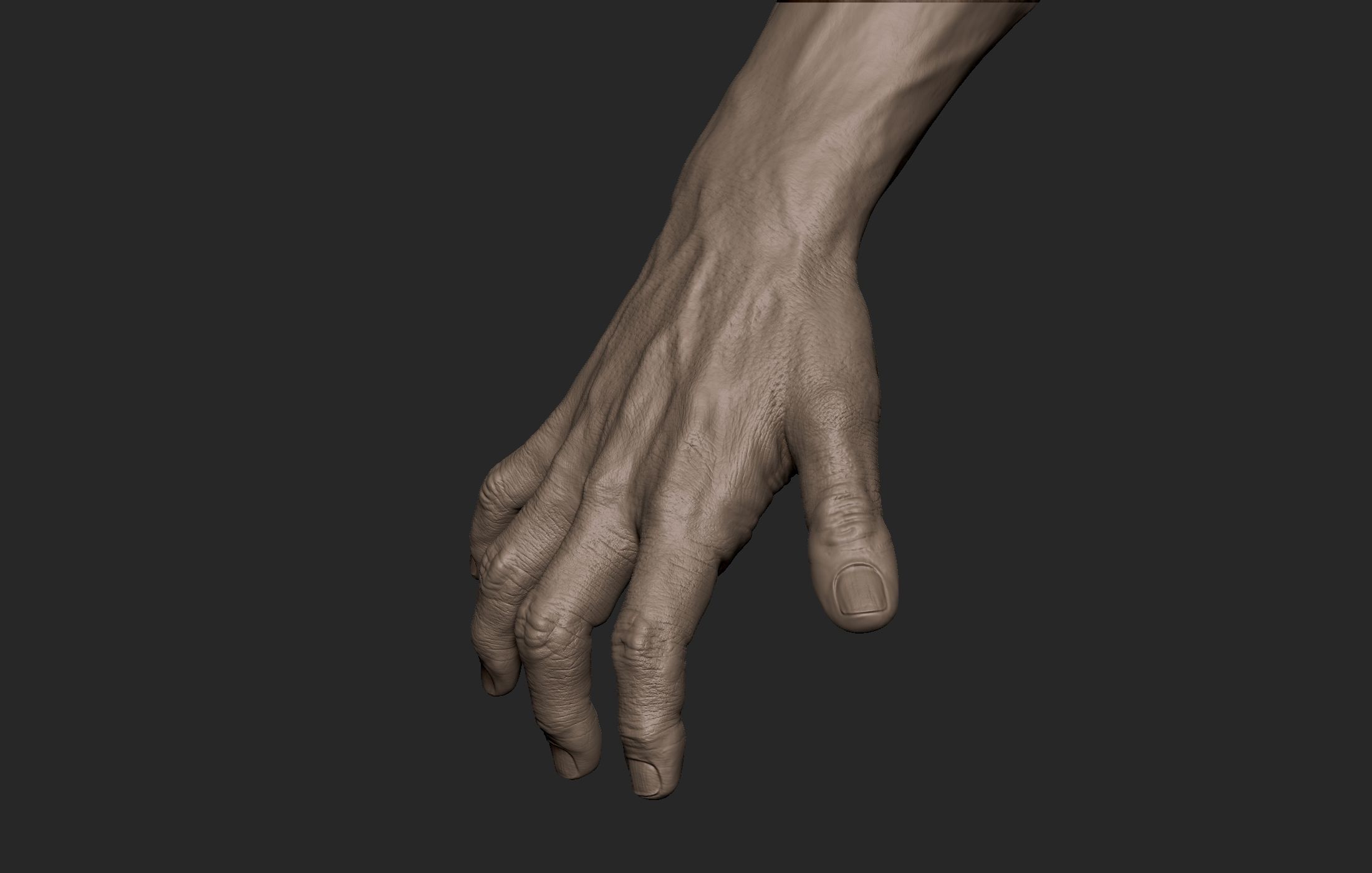 Realistic Male Hand Sculpt 2 3D model_5