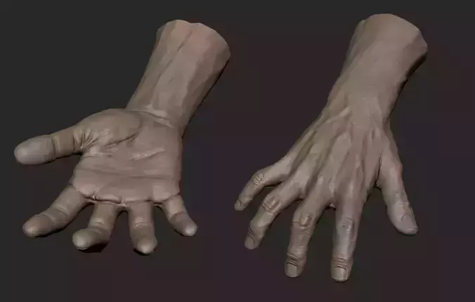 Realistic Male Hand Sculpt 2 3D model