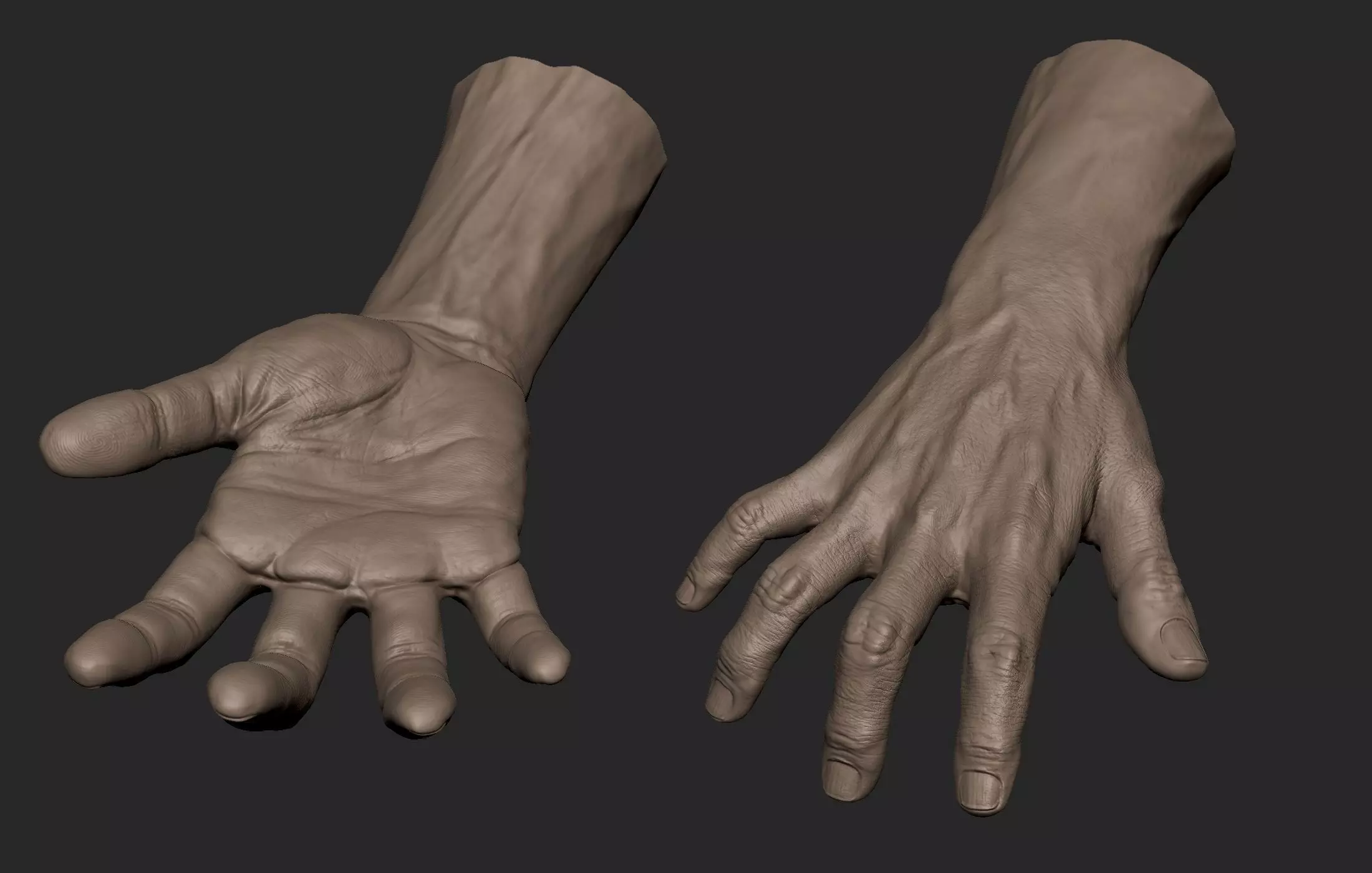 Realistic Male Hand Sculpt 2 3D model_0