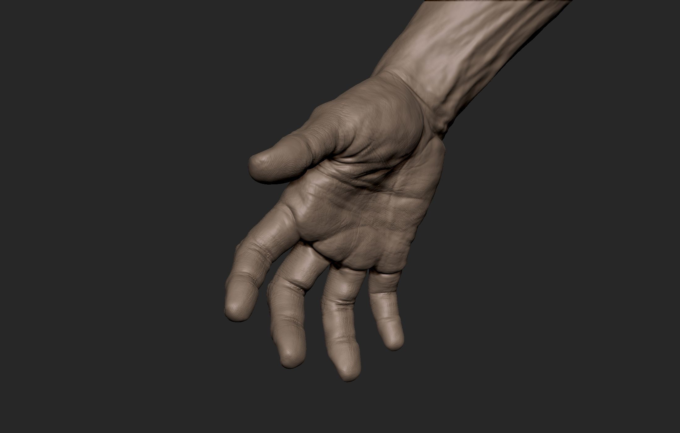 Realistic Male Hand Sculpt 2 3D model_6