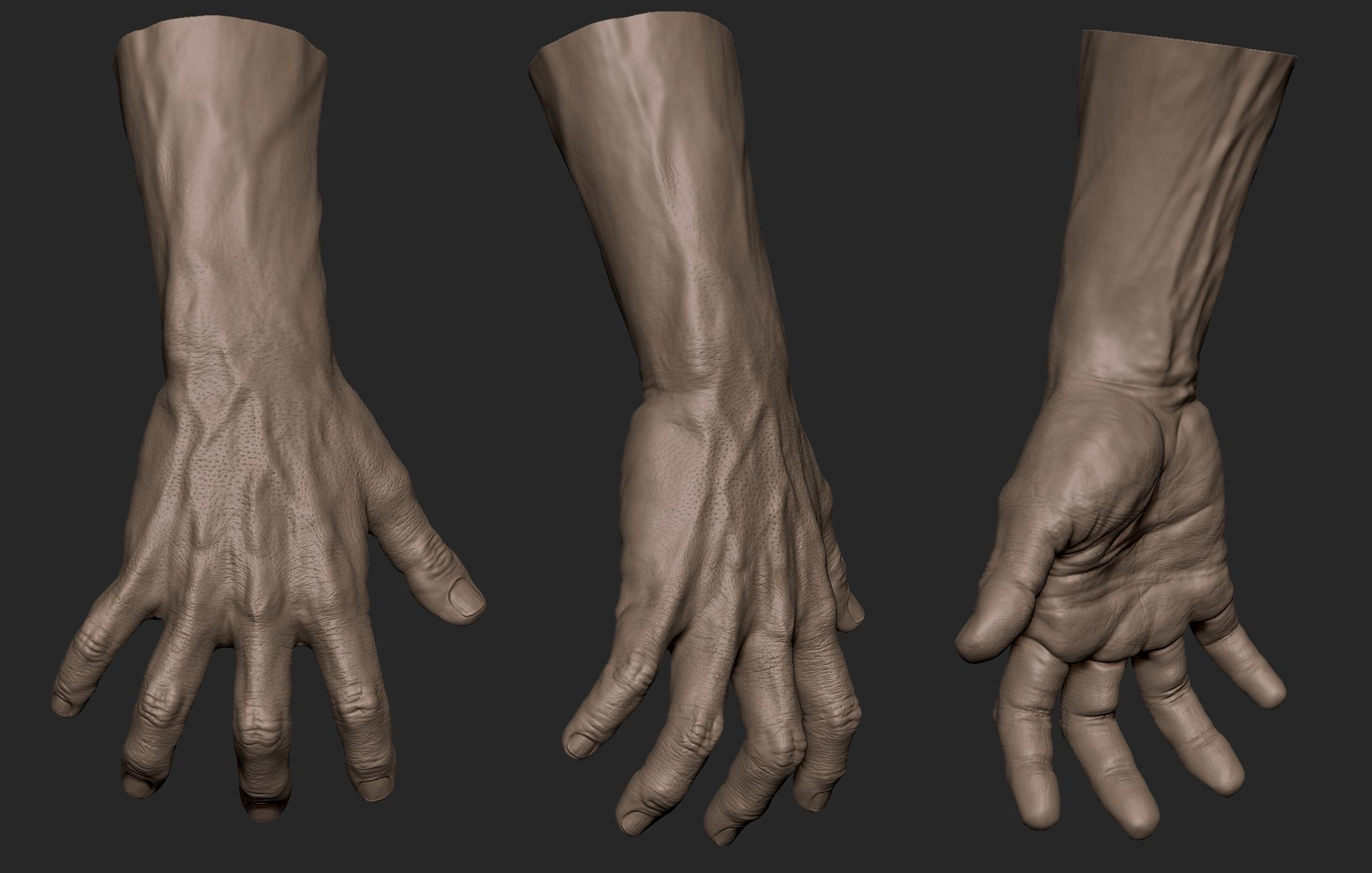Realistic Male Hand Sculpt 2 3D model_1