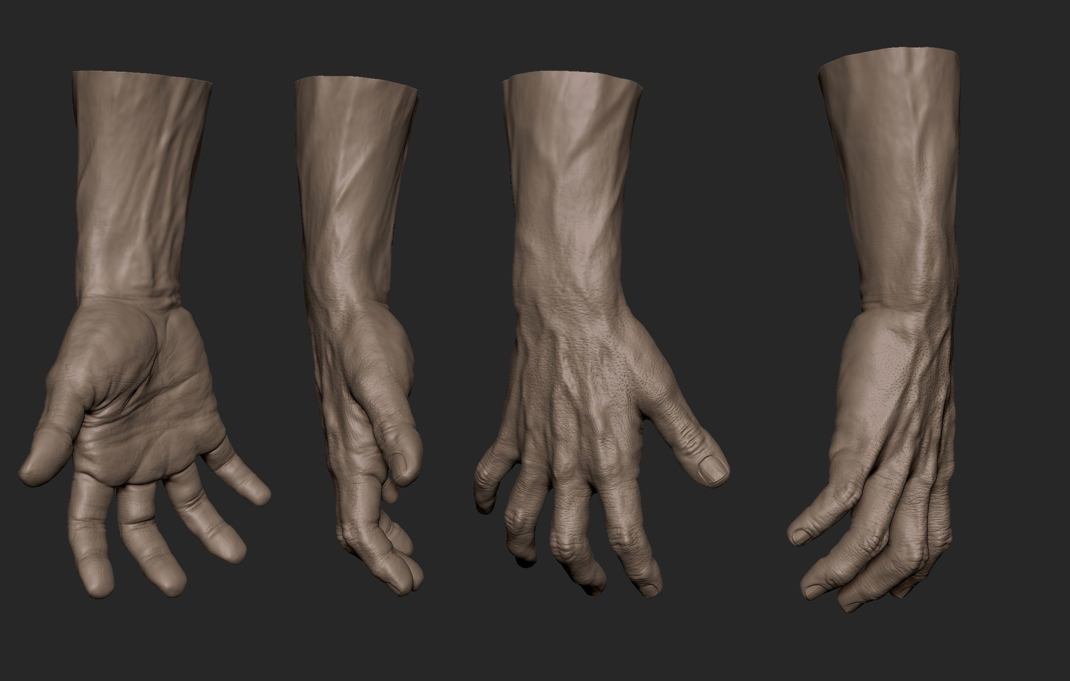 Realistic Male Hand Sculpt 2 3D model_8
