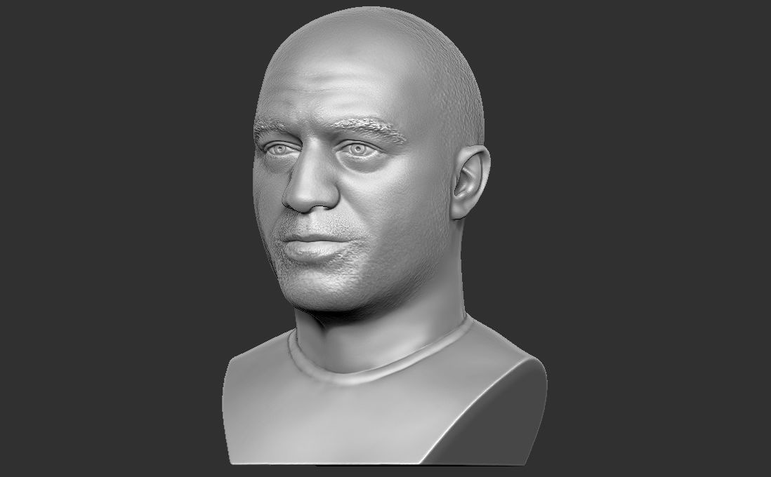 Joe Rogan bust for 3D printing 3D print model_2