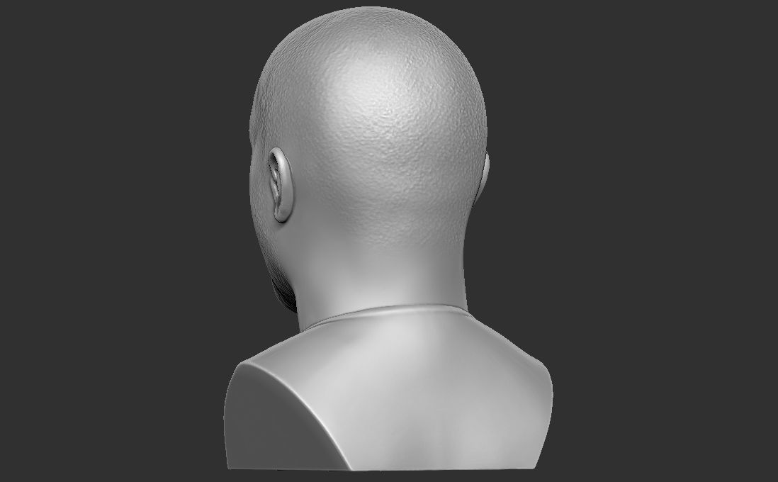 Joe Rogan bust for 3D printing 3D print model_6