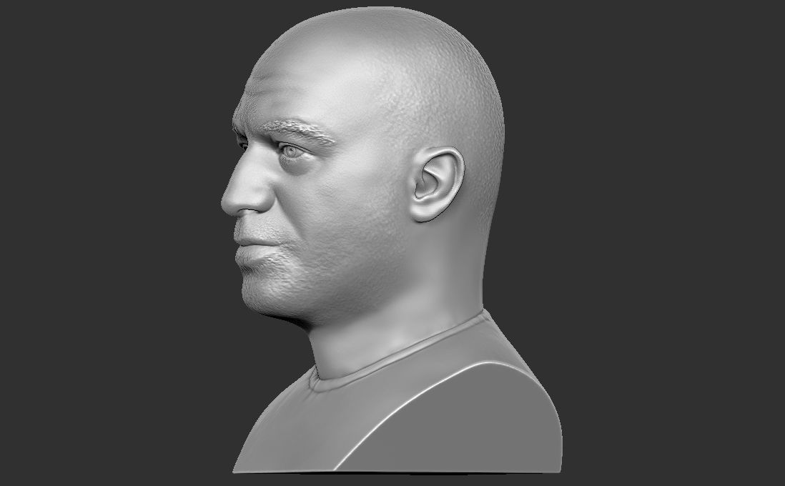 Joe Rogan bust for 3D printing 3D print model_4