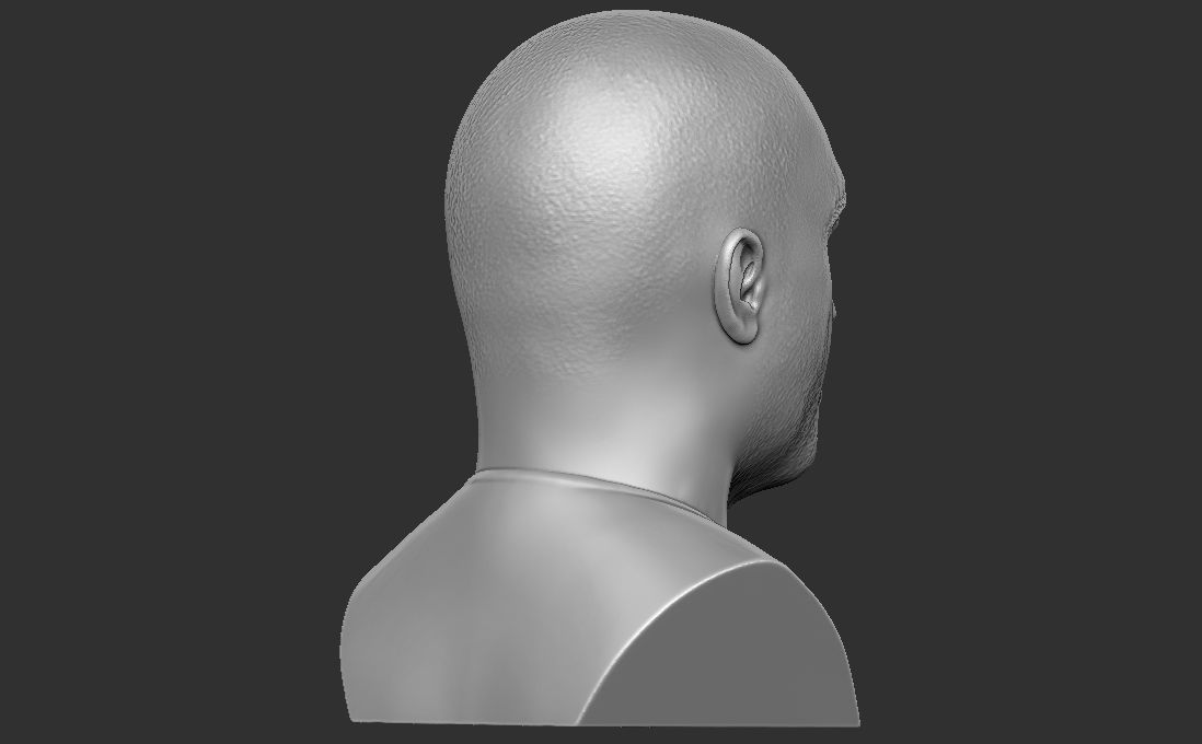 Joe Rogan bust for 3D printing 3D print model_8