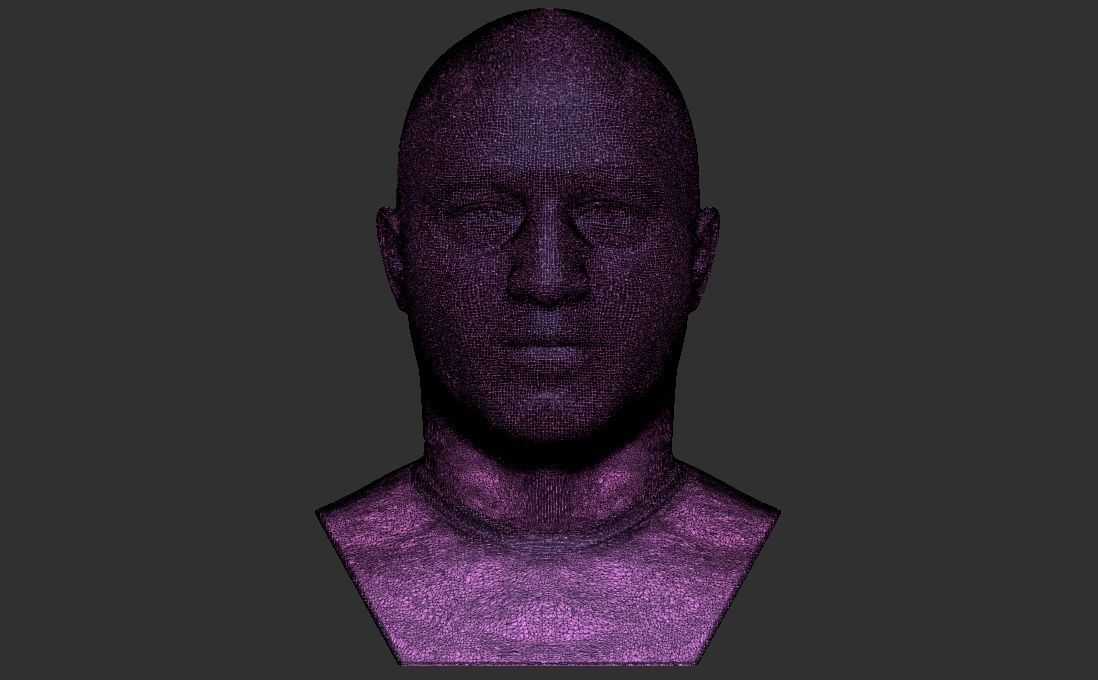 Joe Rogan bust for 3D printing 3D print model_26