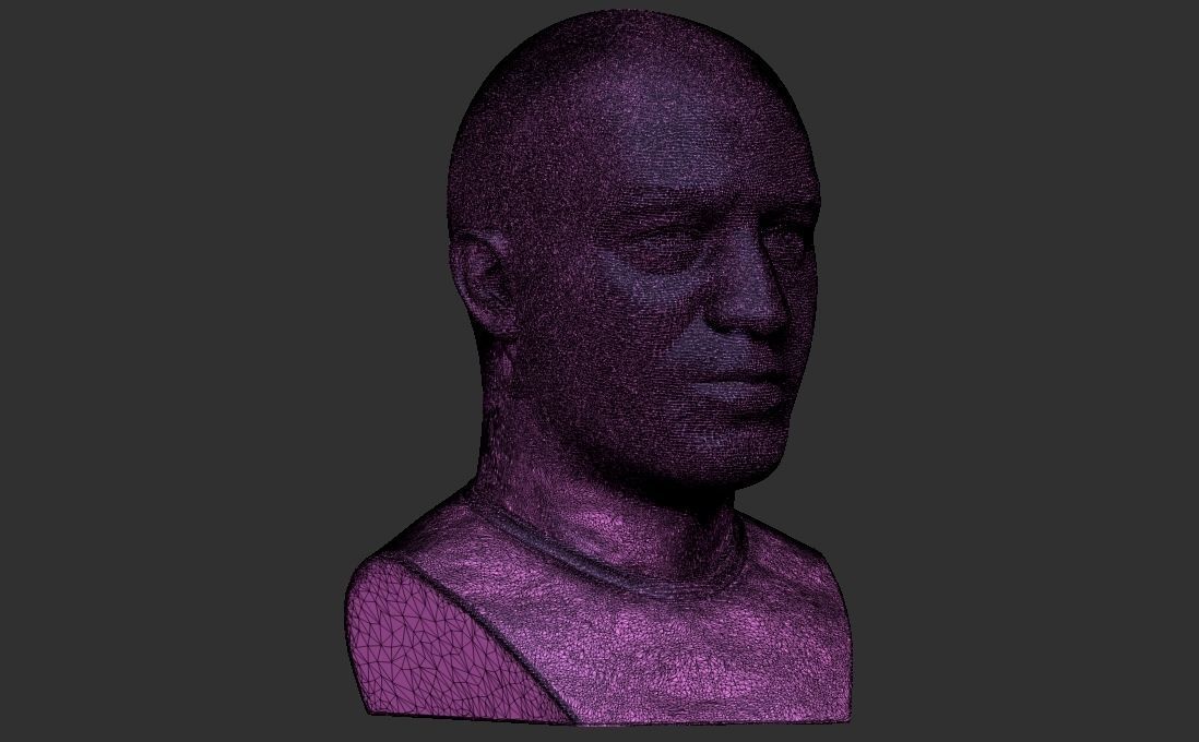 Joe Rogan bust for 3D printing 3D print model_27