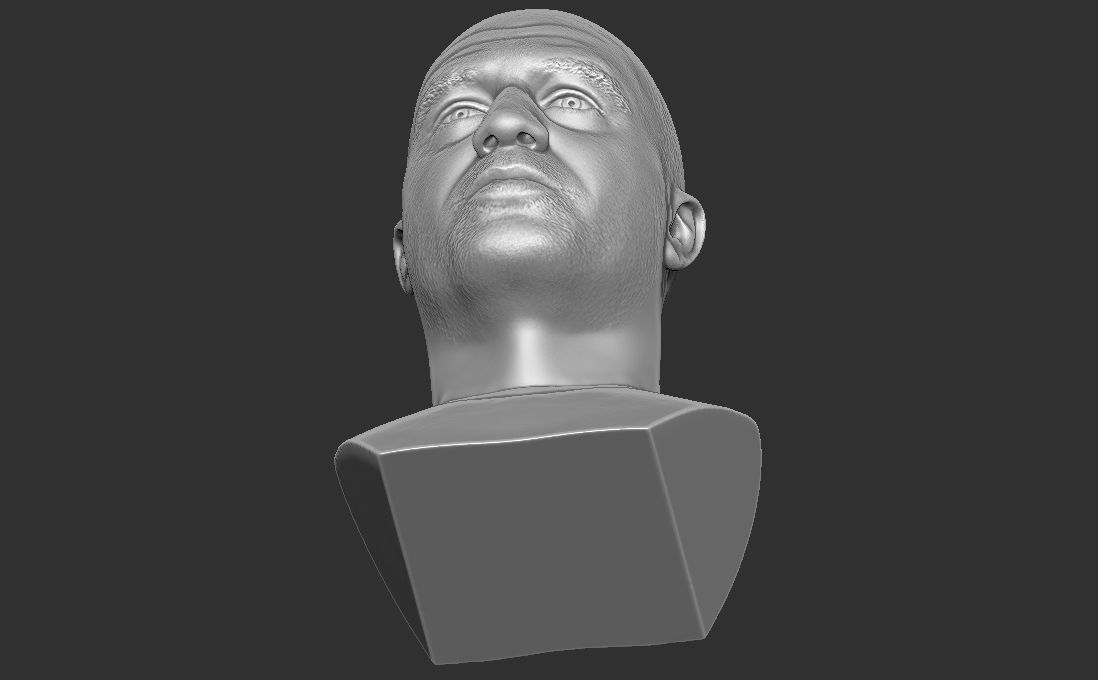 Joe Rogan bust for 3D printing 3D print model_22
