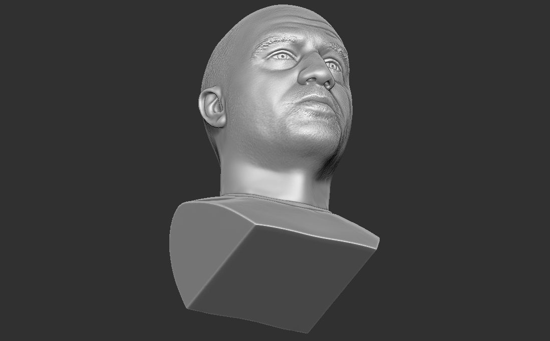 Joe Rogan bust for 3D printing 3D print model_23
