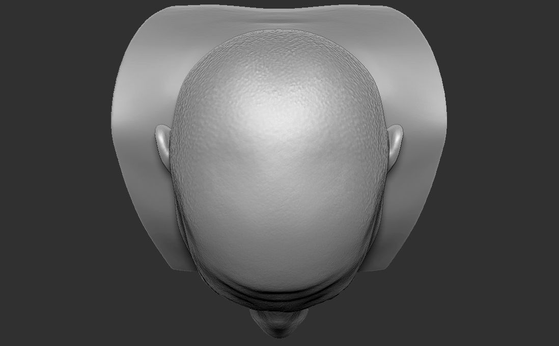 Joe Rogan bust for 3D printing 3D print model_25