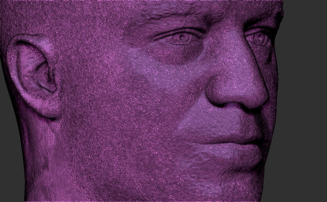 Joe Rogan bust for 3D printing 3D print model_29