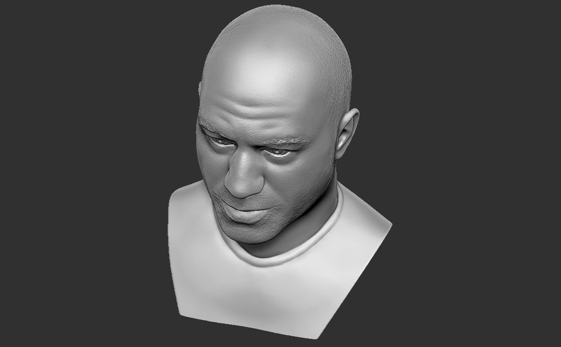 Joe Rogan bust for 3D printing 3D print model_21