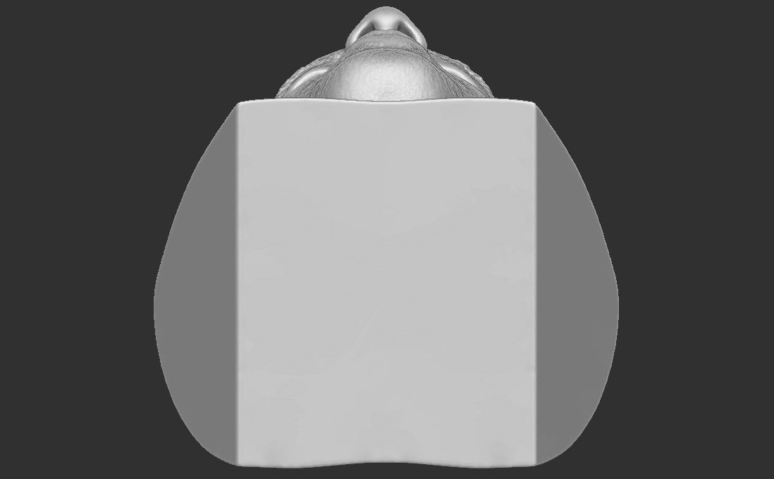 Joe Rogan bust for 3D printing 3D print model_24