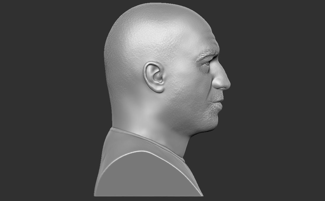 Joe Rogan bust for 3D printing 3D print model_9
