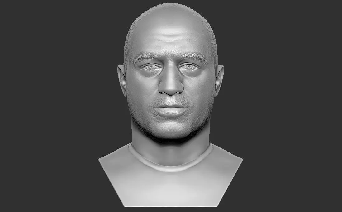 Joe Rogan bust for 3D printing 3D print model_0
