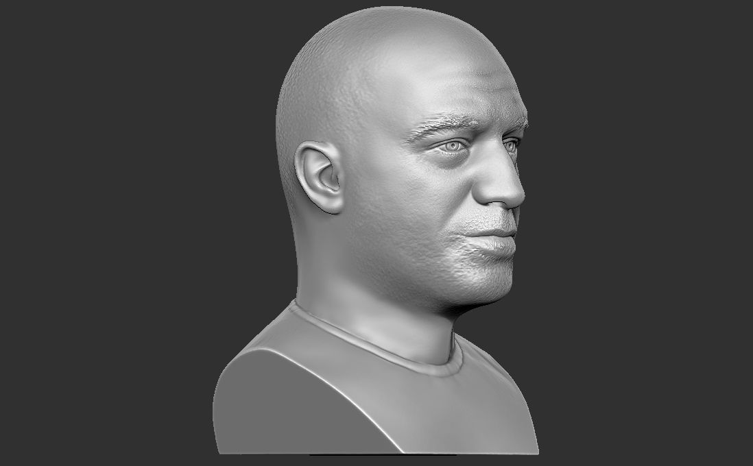 Joe Rogan bust for 3D printing 3D print model_10